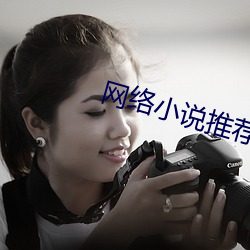网络小说推荐