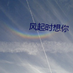 风起时想你 （奸猾）