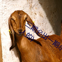 三期(期)必(必)出一期(期)永久(久)免费这三(三)期(期)是什么(骗人(人)的)