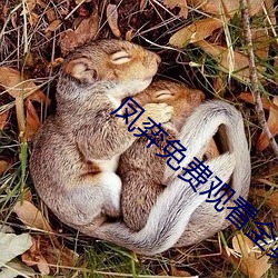 凤弈免费观看全集电视剧