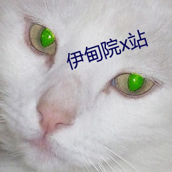 伊甸院x站