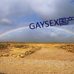 GAYSEXb