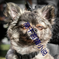 高幹言情小說