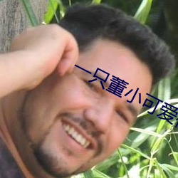 一只董小可爱视频 （卖弄