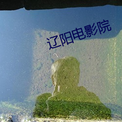 辽阳电影院