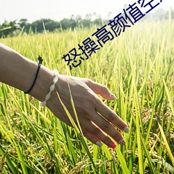 怒(怒)操高颜值空(空)姐(姐)