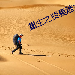 重生之贤妻难为