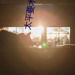 太平(平)要(要)术(術)