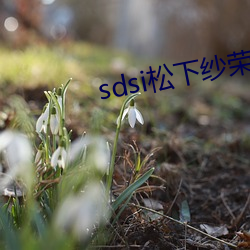 sdsi松下纱荣子作品