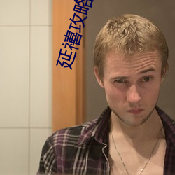 延禧攻略全集