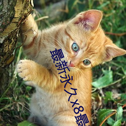 最新永久x8最新人口