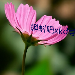 蝌蚪吧xkd导福航 （蹈常習故）