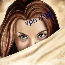 vpn 小猫