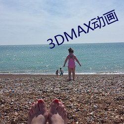 3DMAX动画