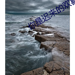 尊龙凯时·(中国)官方网站