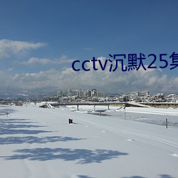 cctv默然25集免费寓目