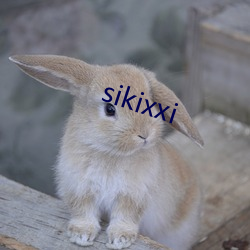 sikixxi