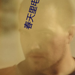 春天里电视剧全集