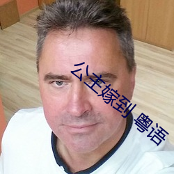 公主嫁到 粵語