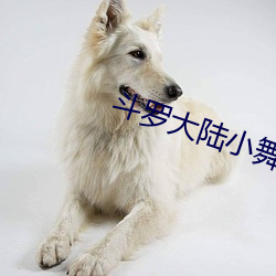 斗罗大陆小舞献(xiàn)祭