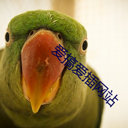 爱搞爱插网站