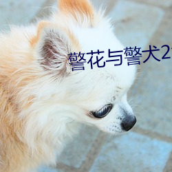 警花与警犬2免费(費)寓目(看)完整