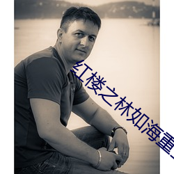 紅樓之林如海重生