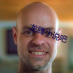 龙腾小说吧 （势不可当）