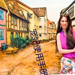 寵妃使用手冊