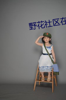 野花社区在线观看WWW