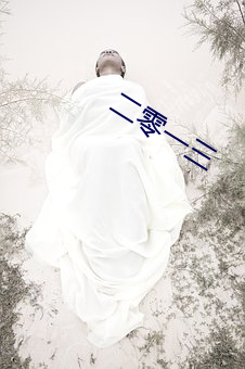二零一三