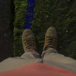 舞姬直播app网站