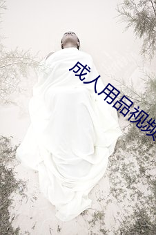 成人用品视频 （俯拾即是）