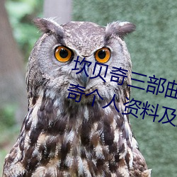 坎贝奇(奇)三部(部)曲B站品味(味)人(人)生(附:坎贝奇个人资料及拍(拍)3部曲原因