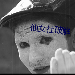 仙女社破解