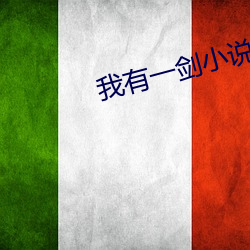 我有一劍小說