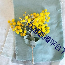 红唇直播平台下载