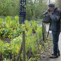 黑道学生5三分天下 破军杀将）