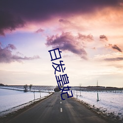 白(bái)发皇妃