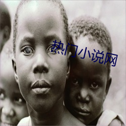 热(熱)门小说(說)网