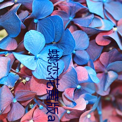 蝶恋花黄(黃)版app