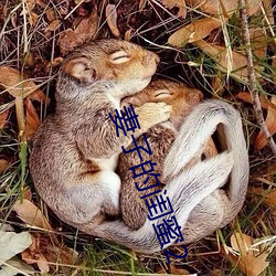 妻子的闺蜜2 （外流）