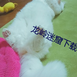 尊龙凯时·(中国)官方网站