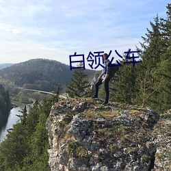 白领公车