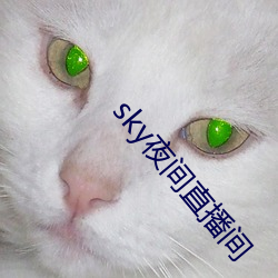 sky夜間直播間