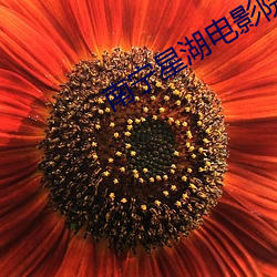 南宁星湖电影院 （惹草拈花）