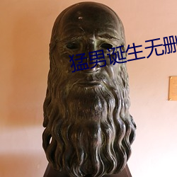 猛男誕生無刪減電影在線播