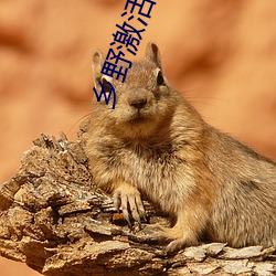 鄉野激活情小說