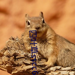 尊龙凯时人生就是搏(中国区)官方网站