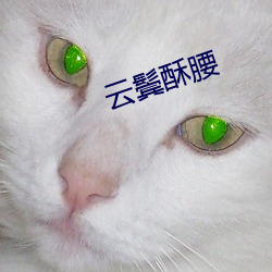 918博天堂·(中国)手机版客户端